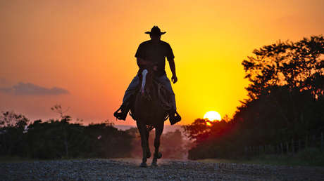 Bestia fiel: Se desploma ebrio tras cabalgar en plena ciudad y el caballo no lo abandona (FOTOS)