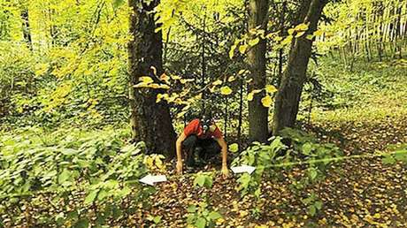 Otra intrigante imagen captada en Google Maps causa revuelo en la Red