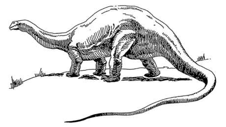 China: Descubren una nueva especie de dinosaurio que reescribe la historia de estos animales