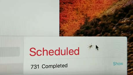 "¿Alguien sabe cómo retirarla?": Una araña se mete detrás de la pantalla de un iMac (VIDEO)
