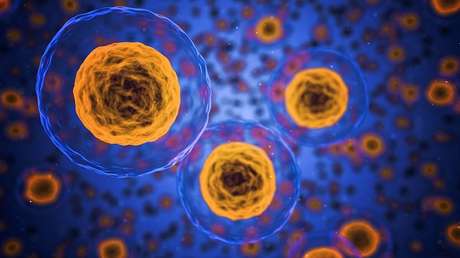 Descubren una nueva forma geométrica (y está en nuestras células)