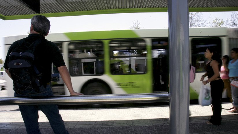 VIDEO: El gesto de un conductor hacia un perro callejero que subió a su autobús conmueve las redes