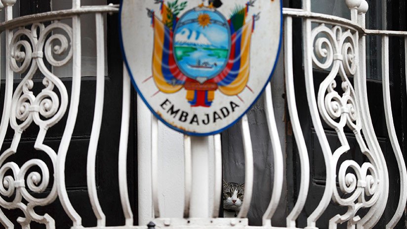 "Gusanos intestinales en el ano de EE.UU.": Ecuador afronta críticas por tratar de callar a Assange