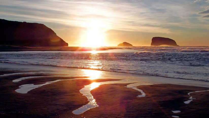 FOTOS, VIDEO: Un misterioso 'monstruo peludo' es arrojado por el mar en el Extremo Oriente de Rusia