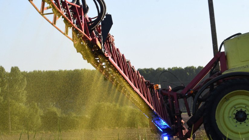 Hallan en desayunos infantiles un herbicida de Monsanto que puede "probablemente" causar cáncer