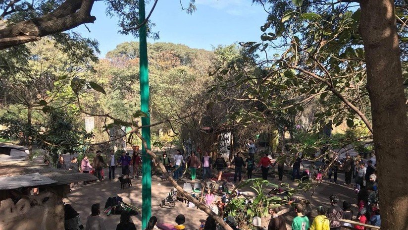 Oasis en disputa: Un litigio judicial pone en peligro la existencia de una 'ecoaldea' en Argentina 