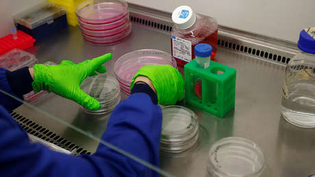 Desarrollan un fármaco que adormece las células cancerígenas