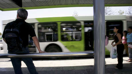 VIDEO: El gesto de un conductor hacia un perro callejero que subió a su autobús conmueve las redes