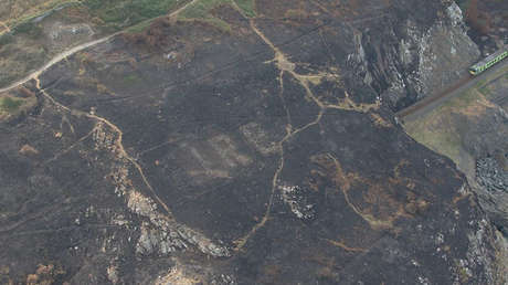 Incendio forestal revela una gran señal oculta desde hace décadas