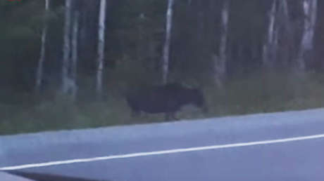 VIDEO: Graban en un bosque a una criatura misteriosa sin rostro parecida a Gollum 