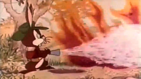 Fidel, el conejo que concienciaba sobre la prevención de incendios y acabó 'incendiando' Twitter