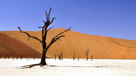 Alertan de que los próximos cinco años serán anómalamente cálidos