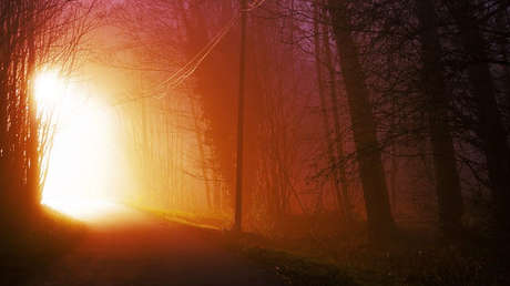 "¡Papá, no podemos salir!" Padre e hijo tratan de escapar de un voraz incendio forestal (VIDEO)