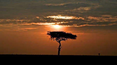 FOTO: Hallan un sorprendente cementerio megalítico de 5.000 años en Kenia