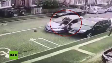 FUERTE VIDEO: Un pandillero es atropellado por la espalda mientras persigue a otro con un machete