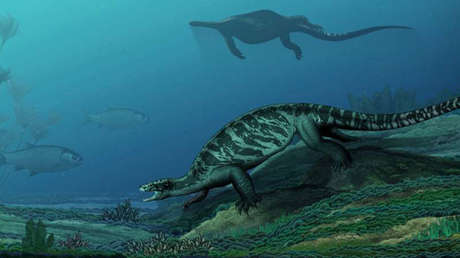 Descubren cómo era el antepasado de todas las tortugas actuales (FOTO)