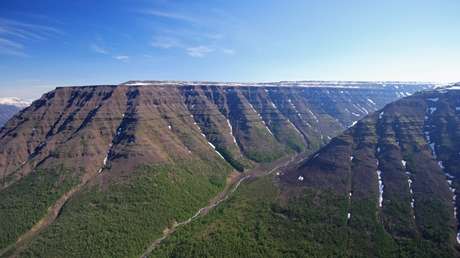 Explican la mayor extinción de animales en la Tierra hace 250 millones de años