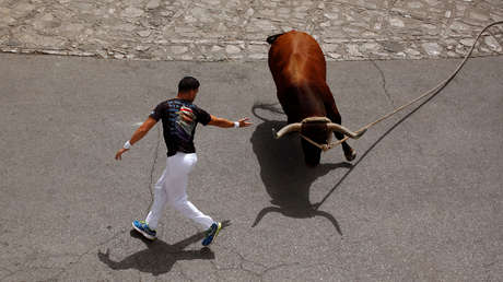 "La salvajada del verano": Un video muestra y denuncia la crueldad de las 'becerradas' en España 