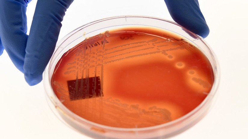 Una 'superbacteria' resistente a todos los antibióticos coloniza hospitales en el mundo entero