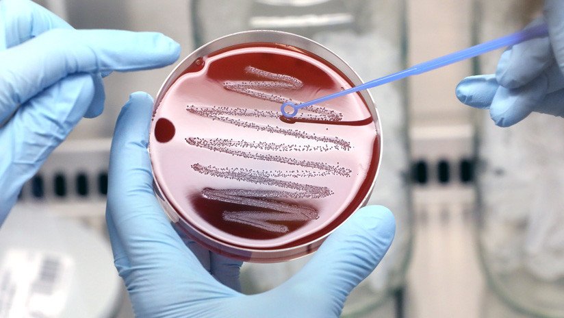 Dos nuevas víctimas por la extraña bacteria que afecta a Argentina