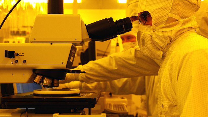 Hallan muestras del progreso evolutivo en la basura génica