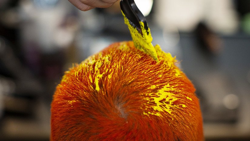 FOTOS: Decide teñirse el pelo sin saber que es alérgico al tinte y lo descubre demasiado tarde