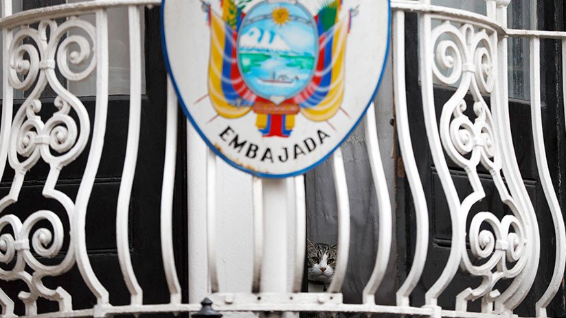 Abogada de Assange a RT: "Ecuador dejó claro que respetará el asilo, pero todo podría suceder"