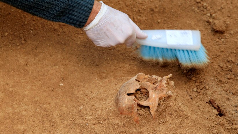 Hallan el cuerpo de un hombre asesinado gracias a un árbol que creció de una semilla en su estómago
