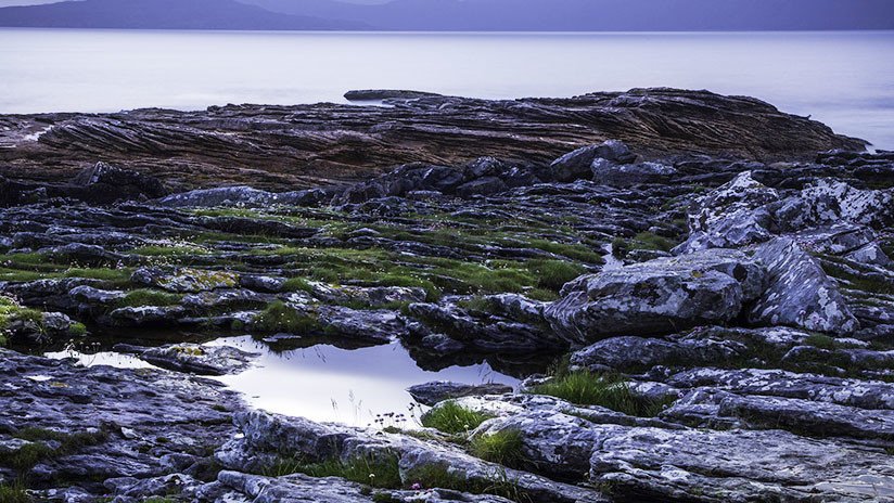 ¿Primeros colonizadores de Marte?: Hallan en España algas capaces de sobrevivir en el planeta rojo