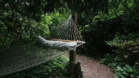 VIDEO: Captan a un oso que entra en una casa y se acomoda en una hamaca para descansar