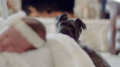 Perro salva a una niña de un año de edad de morir de asfixia 