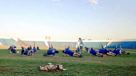 FOTOS: Una perrita se convierte en 'asistente' del entrenador de un club de fútbol en Paraguay