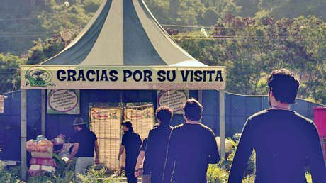 Del lienzo a la música: Los bichos raros del rock venezolano