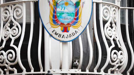 Abogada de Assange a RT: "Ecuador dejó claro que respetará el asilo, pero todo podría suceder"