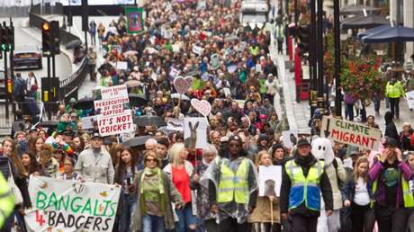 Hyde Park lanza un grito (y 200 sugerencias) contra el "apocalipsis ecológico" de Gran Bretaña