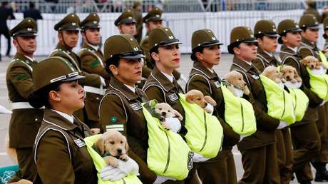 De lo más triste a lo más festivo: Estas son las imágenes más destacadas de la semana