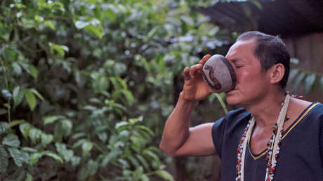 Guayusa, el estimulante natural con el que los ecuatorianos buscan "energizar al mundo"