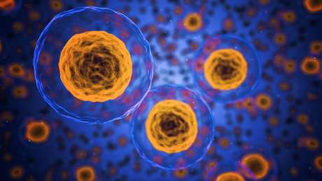 Una "materia oscura microbiana" nunca antes descrita domina todos los hábitats de la Tierra