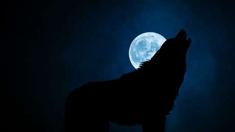 Publican la primera imagen de cámara infrarroja de la aterradora 'bestia de Cumbria'