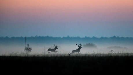 Así vivió el mundo la semana en estas imágenes