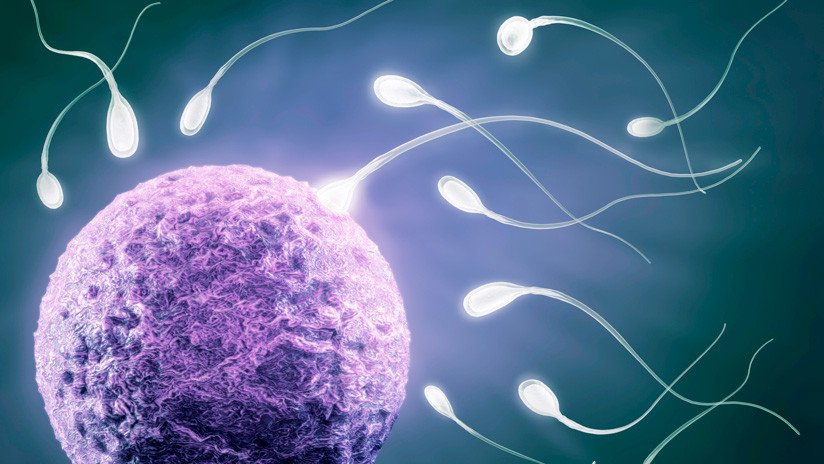 "Problema global": Alertan sobre una crisis de fertilidad masculina