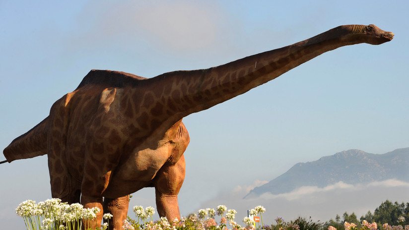 FOTO: Hallan en China huevos de dinosaurio intactos durante unos trabajos de construcción