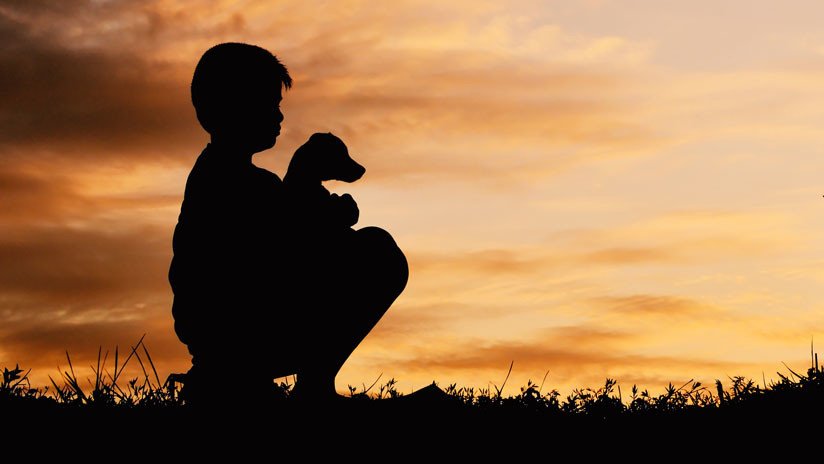 FOTO: Compra una mascota creyendo que era un perro y resulta ser la criatura más inesperada