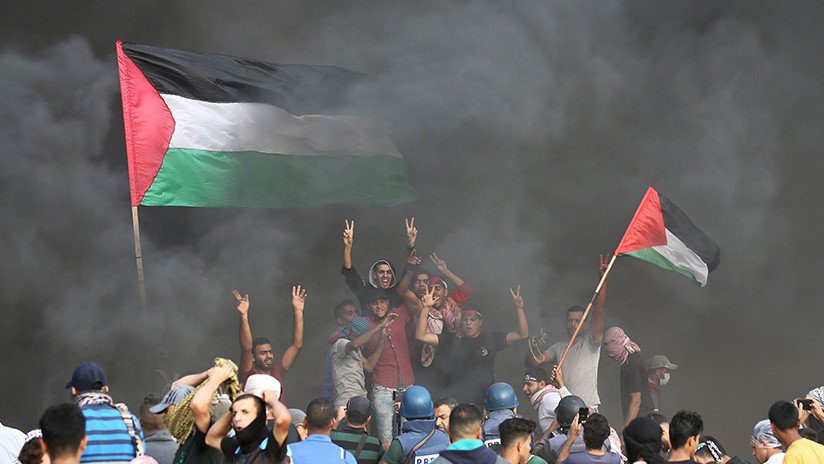 "Un verdadero David contra Goliat": Imagen épica de manifestante palestino se vuelve viral en redes