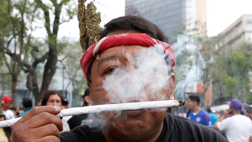 Avanza legalización de la marihuana en México con fines recreativos