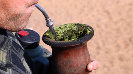 Investigadores argentinos estudian si el mate puede combatir el cáncer