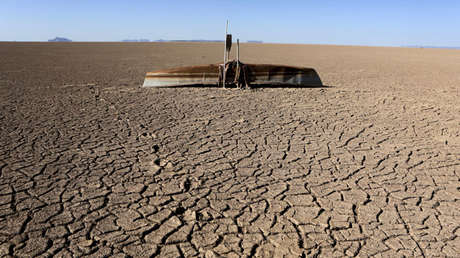 "Mientras el cambio climático amenaza con extinción, los políticos piensan solo en elecciones"