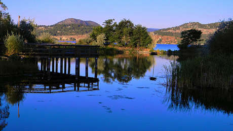 ¿Un dinosaurio marino?: Residentes afirman ver un 'monstruo del lago Ness' canadiense (VIDEO)