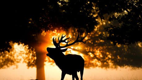 20 mejores imágenes de los últimos 7 días