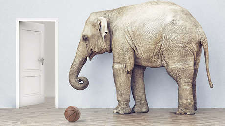 Agencia de Defensa de EE.UU. invierte millones de dólares para enseñarles "sentido común" a robots